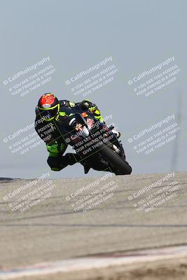 media/Mar-24-2025-2WTD (Mon) [[55b4b08488]]/A Group/11am (Outside Grapevine)/